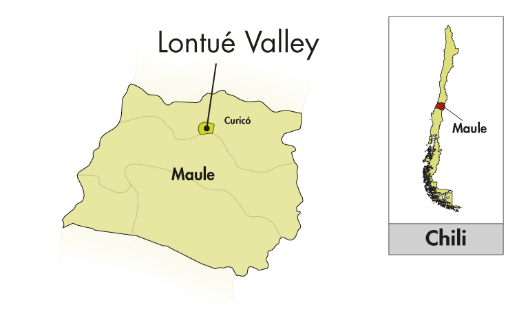 Area of Origin - Chili - Maule Valley