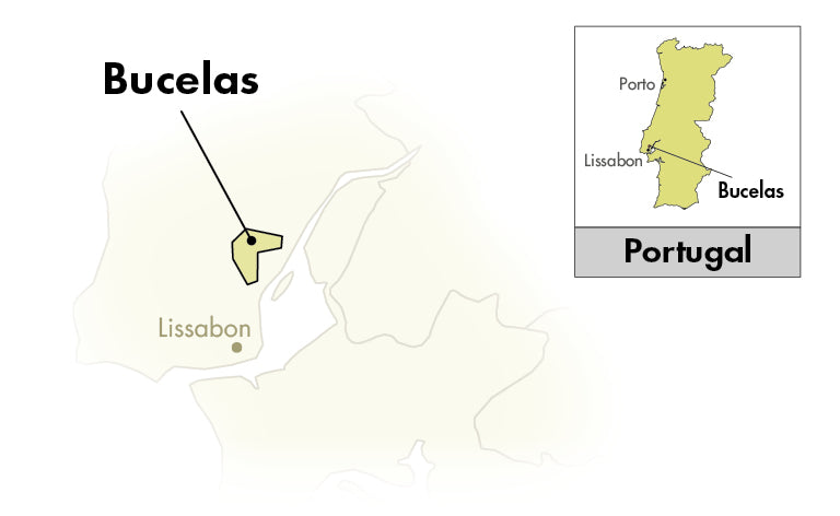 Area of Origin - Portugal - Bucelas