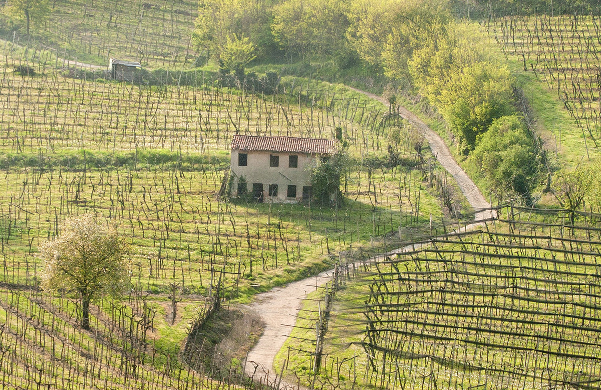 Soave Classico