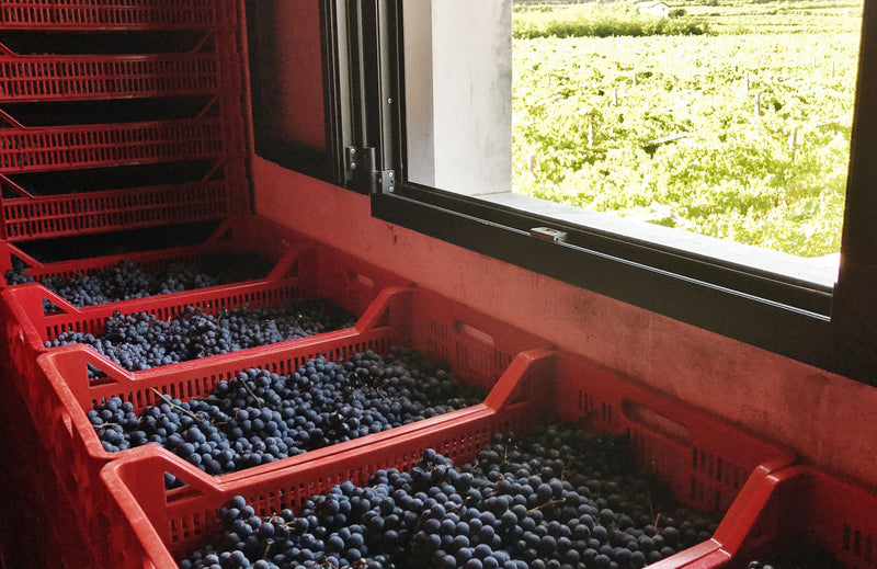 Azienda Stefano Accordini