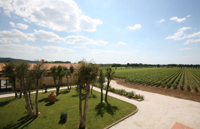 Campo alla Sughera