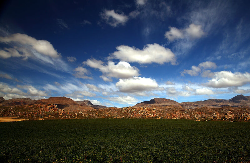 Cederberg