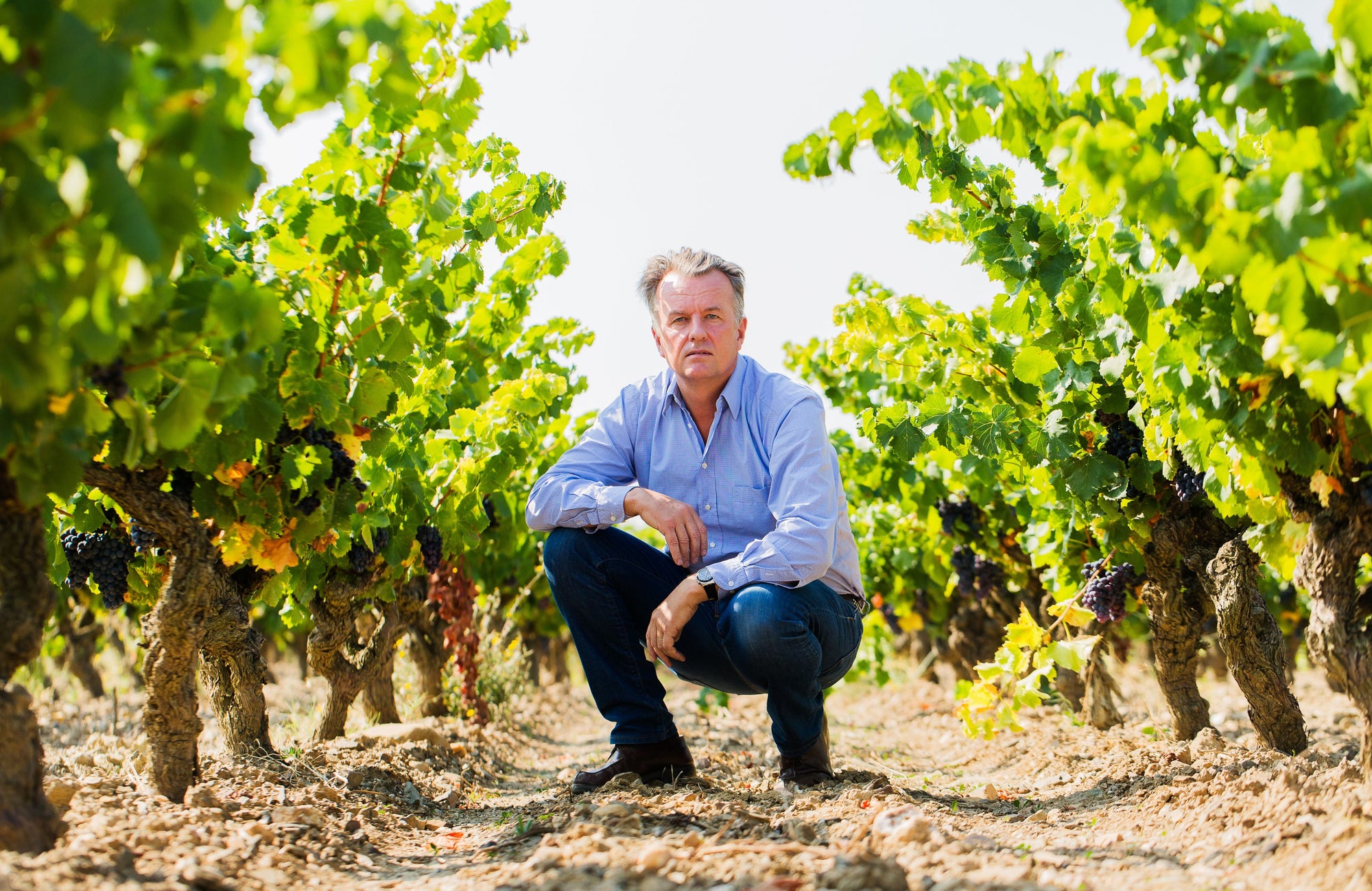 Wijnmaker en -consultant Hugh Ryman