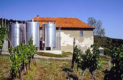 Château Pajzos