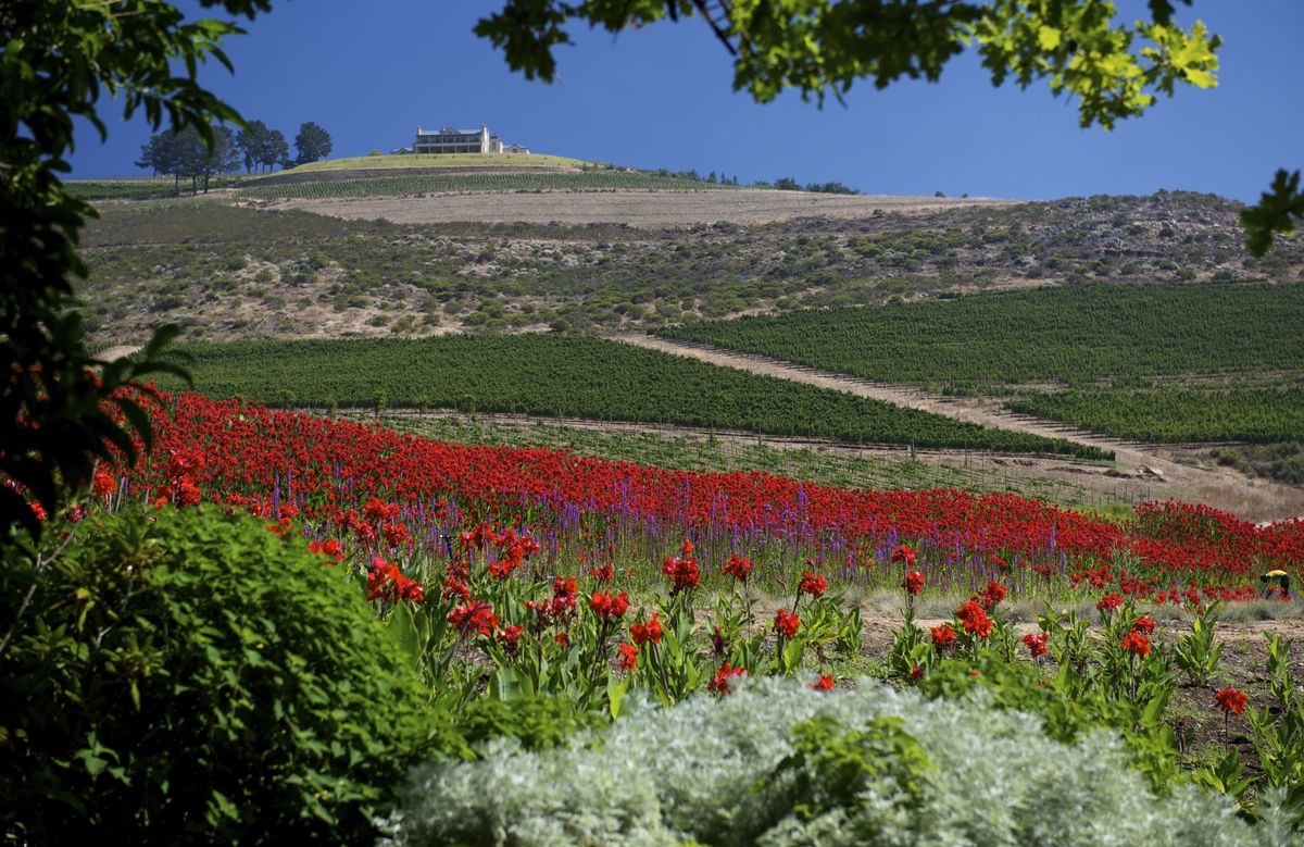 Uitzicht op de prachtige 'garden vineyards'