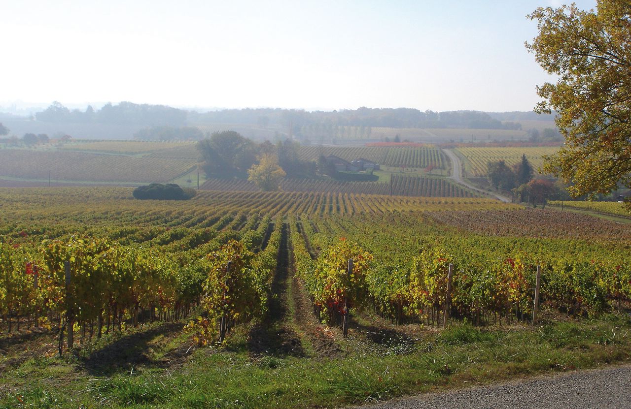 De wijngaarden van Domaine Chiroulet