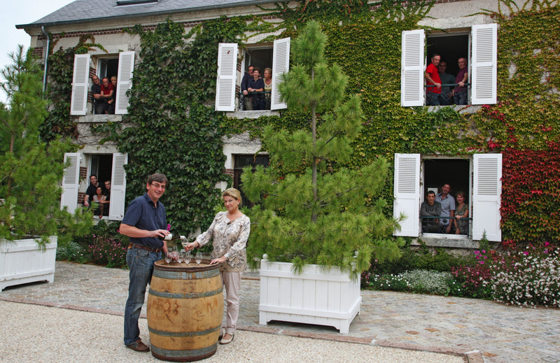 Domaine Clément
