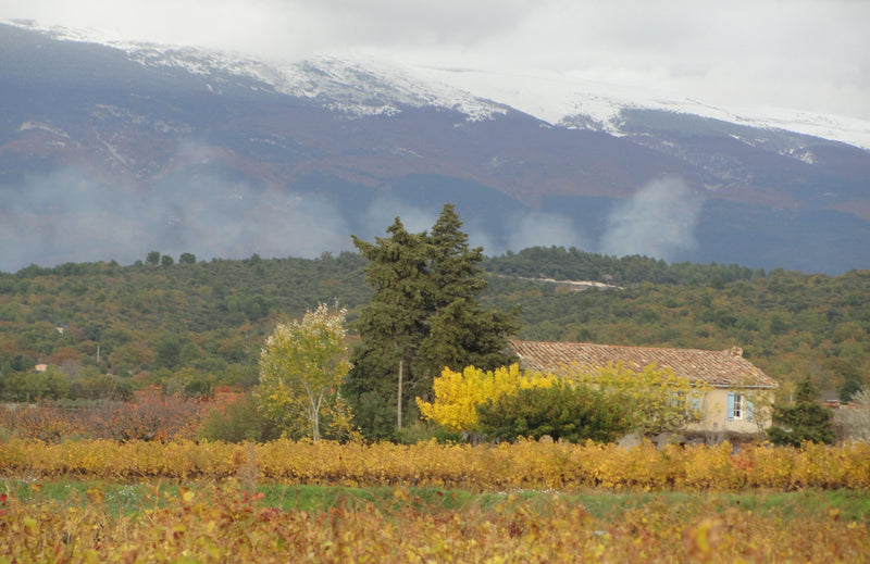 Domaine du Bon Remède