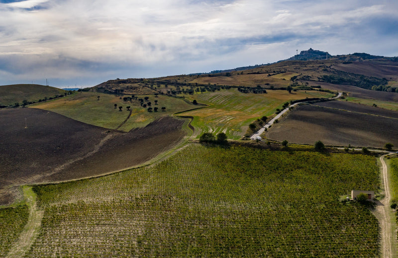 Feudi del Vescovo