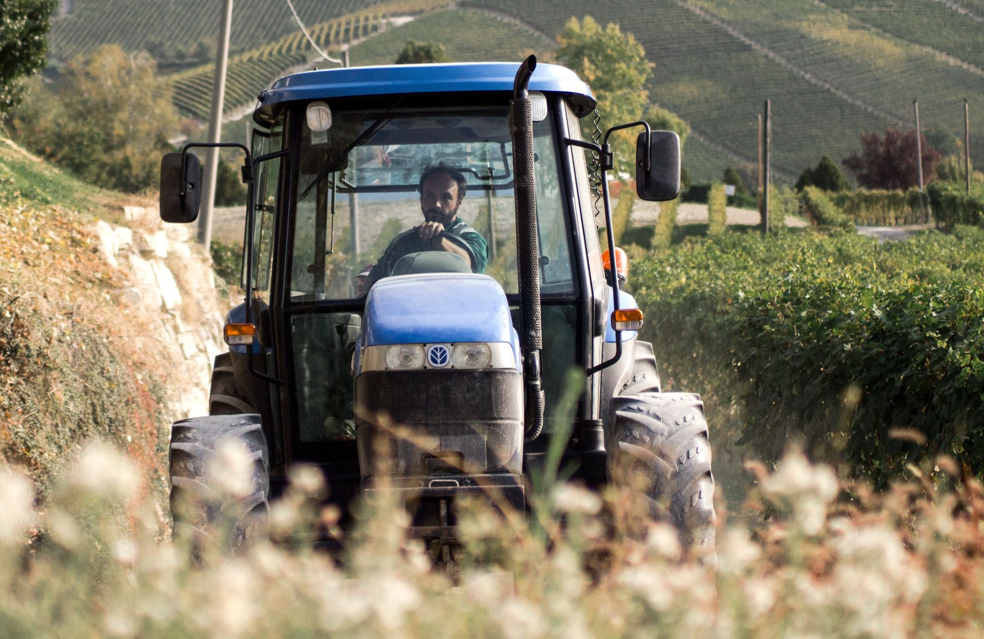 Wijnmaker Marco Seghesio op tractor in wijngaard