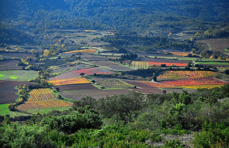 La Cour des Dames