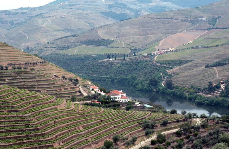 Quinta da Romaneira