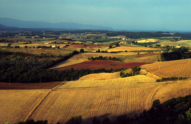 Tenuta Ghiaccio Forte