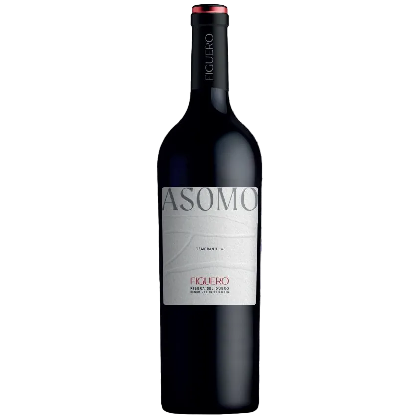 Bodegas Figuero Asomo Ribera del Duero