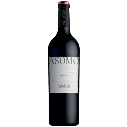 Bodegas Figuero Asomo Ribera del Duero