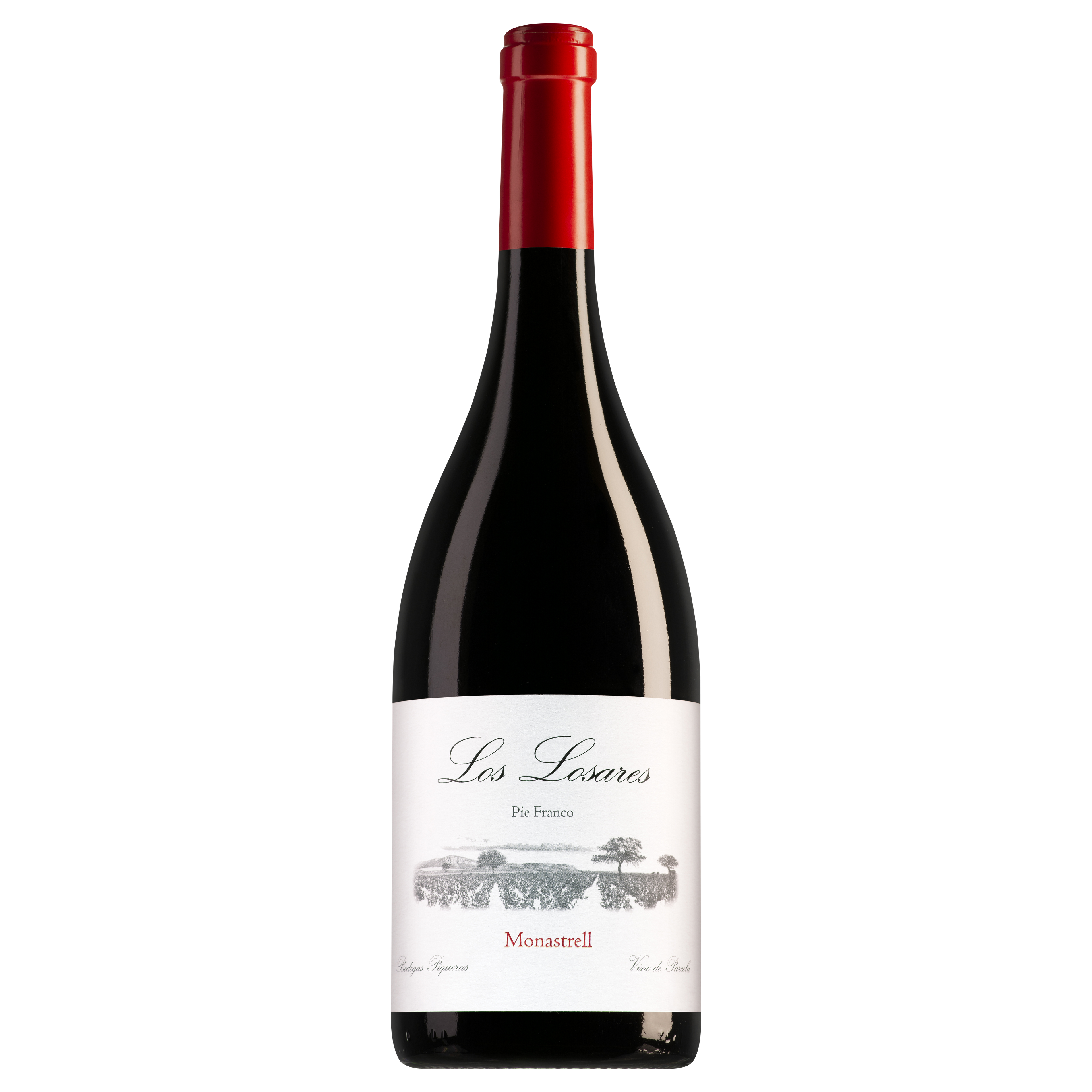 Bodegas Piqueras Almansa Los Losares Monastrell