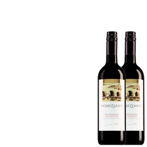 Wijnkist met 2 Cantine Due Palme Negroamaro del Salento Domiziano