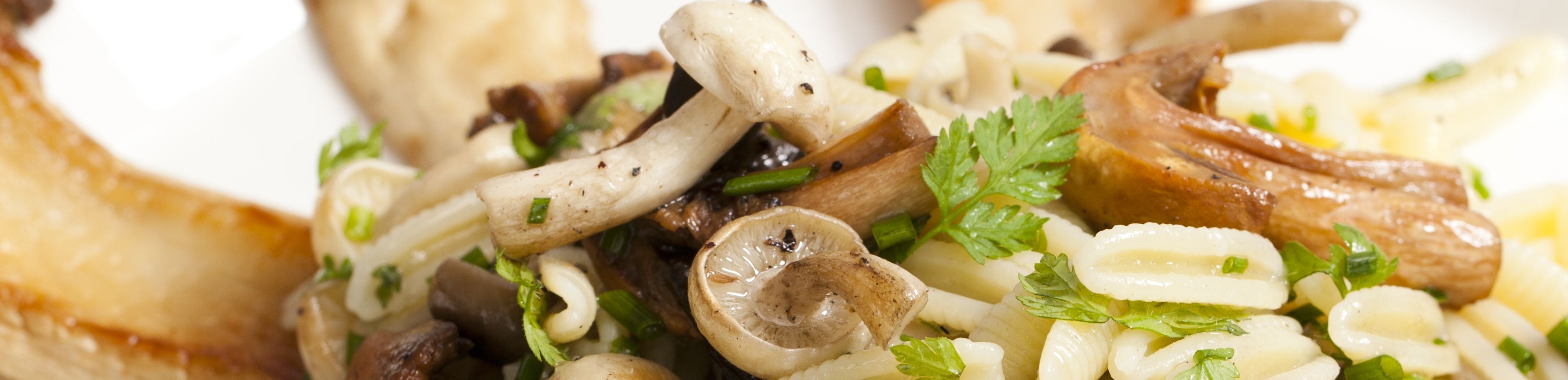 Paddestoelen met pasta en groene kruiden