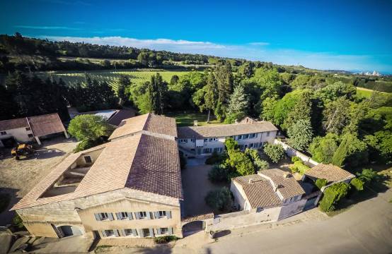 Het domein omringd door wijgaarden